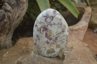 Polished Rubellite Pink Tourmaline Standing Free Form  x 1 From Ambatondrazaka, Madagascar - Toprock Gemstones and Minerals 