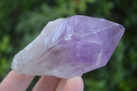 Natural Single Jacaranda Amethyst Crystals  x 12 From Mumbwa, Zambia - Toprock Gemstones and Minerals 