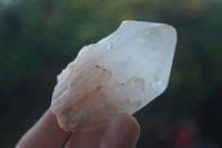 Natural Highly Selected Pineapple Candle Quartz Crystals  x 12 From Madagascar - Toprock Gemstones and Minerals 