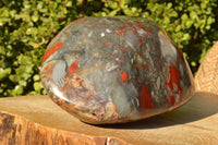 Polished XXL Bloodstone (Seftonite) Standing Free Form With Pyrite Specks  x 1 From Swaziland - TopRock