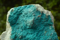 Natural Bright Blue Botryoidal Chrysocolla Specimens x 4 From Lupoto, Congo - TopRock