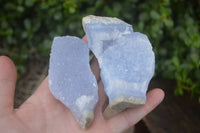 Natural Blue Lace Agate Geode Specimens x 6 From Nsanje, Malawi