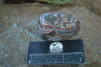 Polished River Agate Nodules  x 6 From Sashe River, Zimbabwe