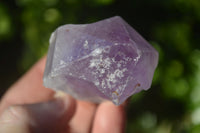 Natural Single Jacaranda Amethyst Crystals x 12 From Zambia