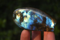 Polished Labradorite Standing Free Forms  x 6 From Tulear, Madagascar