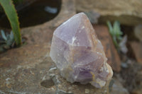 Natural Jacaranda Amethyst Clusters  x 3 From Mumbwa, Zambia - Toprock Gemstones and Minerals 