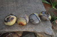 Polished Lovely Mixed Selection Of Palm Stones  x 20 From Madagascar - Toprock Gemstones and Minerals 