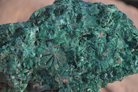 Natural Chatoyant Silky Malachite Specimens  x 3 From Kasompe, Congo