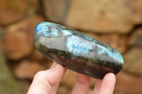 Polished Labradorite Standing Free Forms With Intense Blue & Gold Flash x 3 From Tulear, Madagascar - TopRock