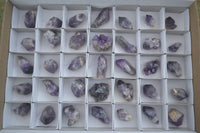 Natural Single Amethyst Crystals  x 35 From Zambia - Toprock Gemstones and Minerals 