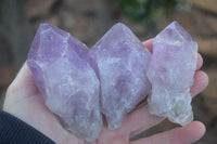 Natural Single Jacaranda Amethyst Crystals  x 12 From Mumbwa, Zambia - Toprock Gemstones and Minerals 