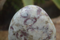 Polished Rubellite Pink Tourmaline Standing Free Form  x 1 From Ambatondrazaka, Madagascar - Toprock Gemstones and Minerals 