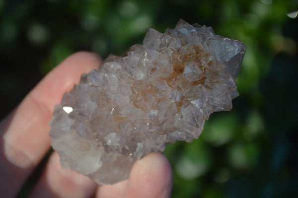 Natural Mixed Spirit Quartz Clusters  x 12 From Boekenhouthoek, South Africa - Toprock Gemstones and Minerals 