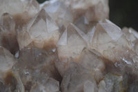 Natural Large White Phantom Smokey Quartz Cluster  x 1 From Luena, Congo - Toprock Gemstones and Minerals 