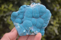 Natural Blue Chrysocolla On Silky Malachite Matrix Specimens  x 6 From Kulukuluku, Congo - Toprock Gemstones and Minerals 