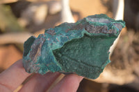 Natural Crystalline Micro Botryoidal Malachite Specimens  x 6 From Congo