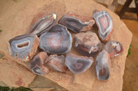 Polished Red Sashe River Agate Nodules x 12 From Sashe River, Zimbabwe