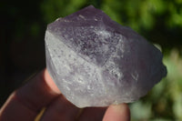 Natural Single Jacaranda Amethyst Crystals x 12 From Zambia