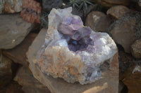 Natural Jacaranda Amethyst Cluster x 1 From Mumbwa, Zambia - TopRock