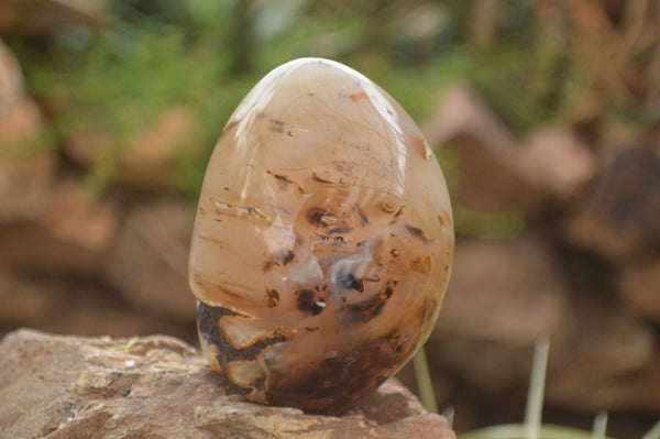 Polished  Gorgeous Agate Standing Free Forms  x 2 From Madagascar