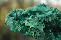 Natural Chatoyant Silky Malachite Specimens  x 2 From Kasompe, Congo - TopRock