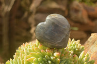 Polished Purple Flash Labradorite Hearts x 6 From Tulear, Madagascar - TopRock