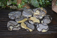 Polished Septaria (Calcite & Aragonite) Slices  x 12 From Madagascar