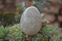 Polished Amazonite Free Forms  x 12 From Zimbabwe