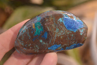 Polished Blue Shattuckite Free Forms  x 5 From Namibia