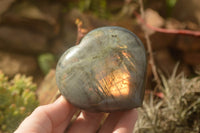 Polished Purple Flash Labradorite Hearts x 6 From Tulear, Madagascar - TopRock