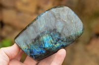 Polished Labradorite Standing Free Forms With Intense Blue & Gold Flash x 3 From Tulear, Madagascar - TopRock