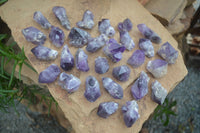 Natural Single Amethyst Crystals  x 35 From Zambia - Toprock Gemstones and Minerals 