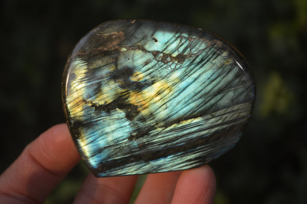 Polished Labradorite Standing Free Forms  x 6 From Tulear, Madagascar