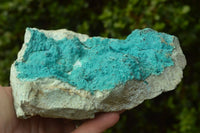 Natural Bright Blue Botryoidal Chrysocolla Specimens x 4 From Lupoto, Congo - TopRock