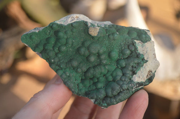 Natural Crystalline Micro Botryoidal Malachite Specimens  x 6 From Congo