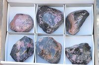 Polished One Side Polished Rhodonite Free Forms  x 6 From Ambindavato, Madagascar - TopRock