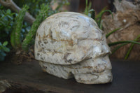 Polished Extra Large Tiger Quartz In Feldspar Skull Carving  x 1 From Madagascar - Toprock Gemstones and Minerals 