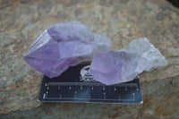 Natural Single Jacaranda Amethyst Crystals  x 12 From Mumbwa, Zambia - Toprock Gemstones and Minerals 