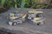 Polished Septaria (Calcite & Aragonite) Slices  x 12 From Madagascar