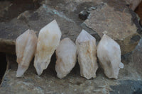 Natural Highly Selected Pineapple Candle Quartz Crystals  x 12 From Madagascar - Toprock Gemstones and Minerals 