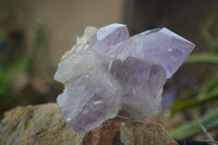 Natural Jacaranda Amethyst Clusters  x 3 From Mumbwa, Zambia - Toprock Gemstones and Minerals 