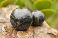 Polished Rare Iolite Water Sapphire Spheres  x 3 From Madagascar - TopRock