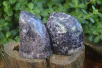 Polished Purple Lepidolite Free Forms  x 3 From Zimbabwe - Toprock Gemstones and Minerals 