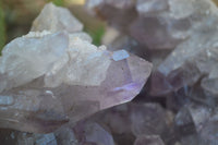 Natural Jacaranda Amethyst Cluster x 1 From Mumbwa, Zambia - TopRock