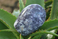 Polished Purple Lepidolite Free Forms  x 3 From Zimbabwe - Toprock Gemstones and Minerals 