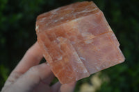 Natural New Sunset Orange Calcite Specimens  x 4 From Spitzkoppe, Namibia - Toprock Gemstones and Minerals 