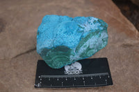 Natural Blue Chrysocolla On Silky Malachite Matrix Specimens  x 6 From Kulukuluku, Congo - Toprock Gemstones and Minerals 