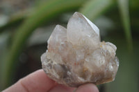 Natural Small White Phantom Smokey Quartz Clusters x 12 From Luena, Congo