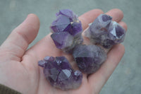 Natural Single Amethyst Crystals  x 35 From Zambia - Toprock Gemstones and Minerals 