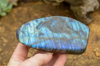 Polished Labradorite Standing Free Forms With Intense Blue & Gold Flash x 3 From Tulear, Madagascar - TopRock